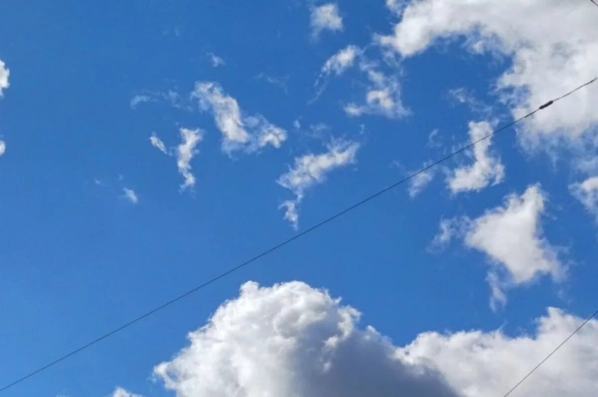    На новой рабочей неделе температура в Воронеже опустится до +4 градусов