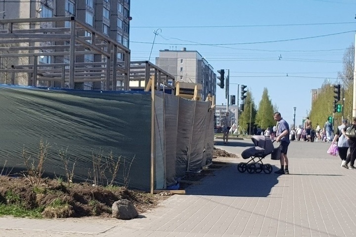    Мэрия высадила кусты на месте скандальных ларьков на Древлянке в ПетрозаводскеИрина Меркова