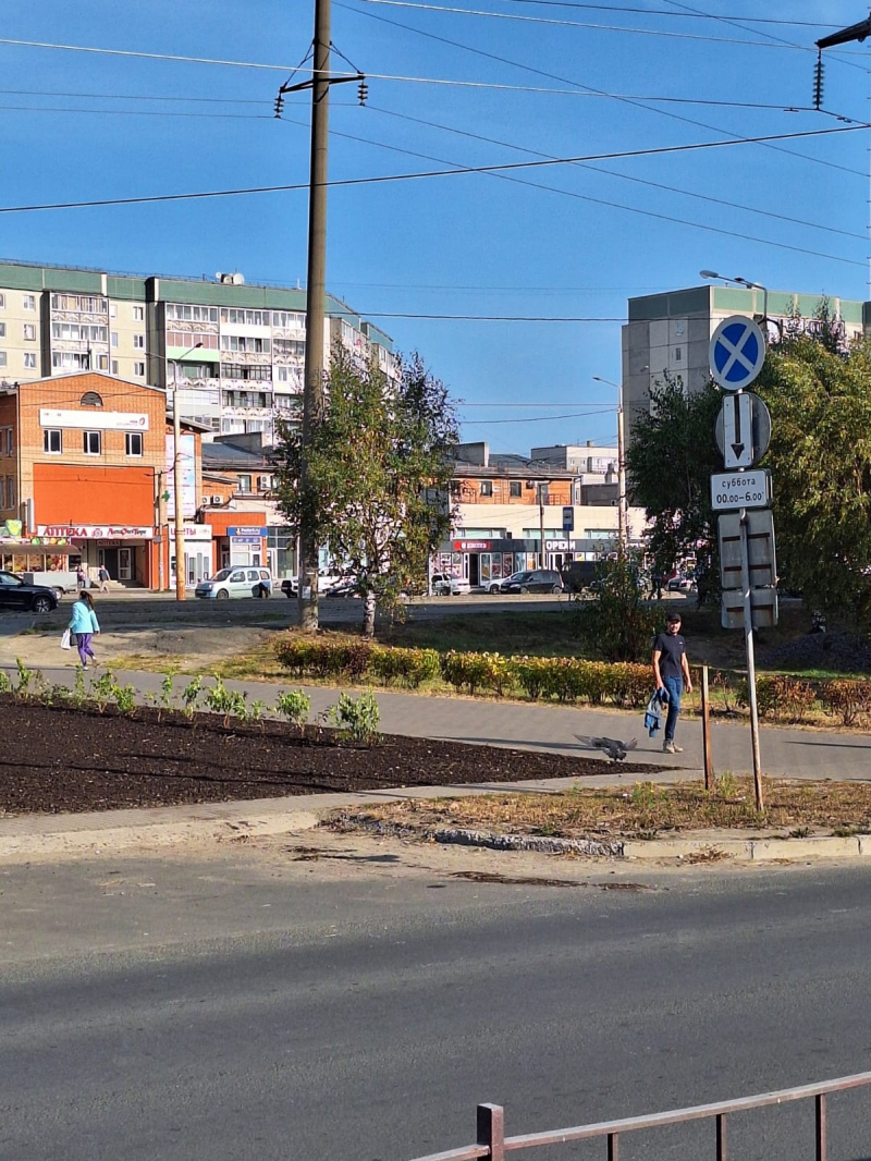    Мэрия высадила кусты на месте скандальных ларьков на Древлянке в ПетрозаводскеИрина Меркова