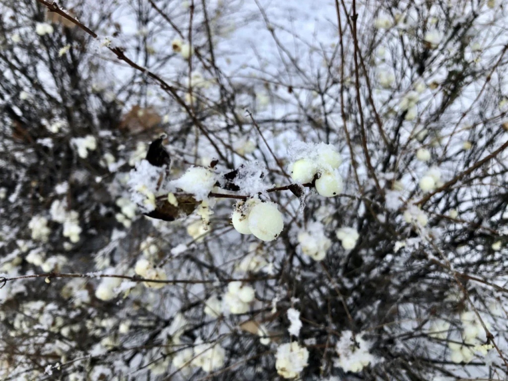 Фото: SterlitamakTime.ru / OOO «Уфатайм»