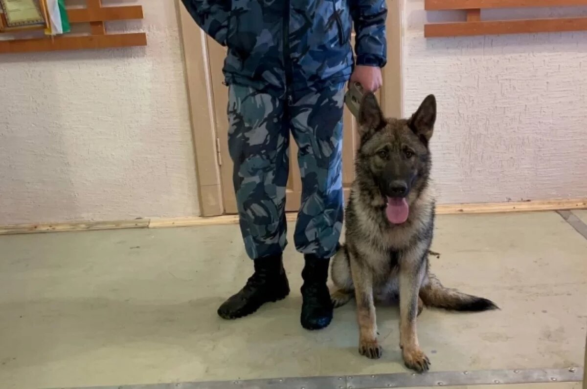    Появились угрозы терактов в школах и детсадах Тюмени