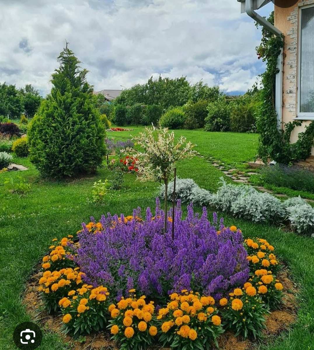 Получается как-то так... 🙄🤔. Фото из интернета по запросу "ландшафтный дизайн".