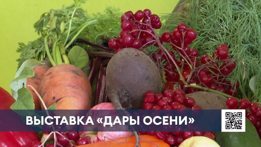 Овощи, цветы и ягоды: нижнекамцы показали свой урожай на выставке «Дары осени»