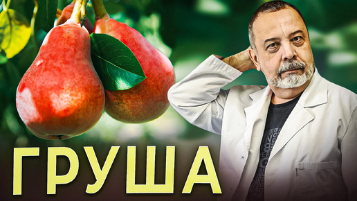 КОРОЛЕВА ФРУКТОВ - ГРУША Чем полезна груша. Состав и лечебный эффект груш. Груша при диабете.