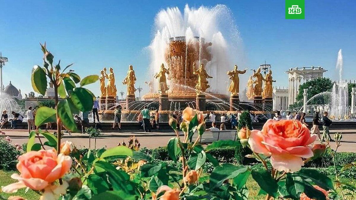    Фото: mnews_ru / t.me