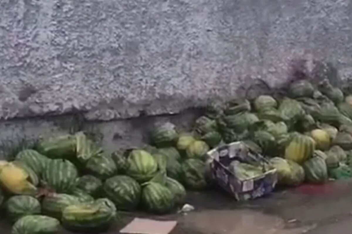    Активисты нашли гниющие арбузы на продуктовой базе в Петропавловске