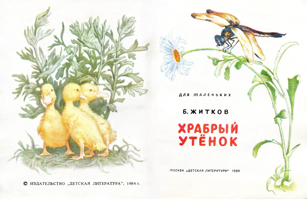 Форзац (оборот обложки) и титульный лист