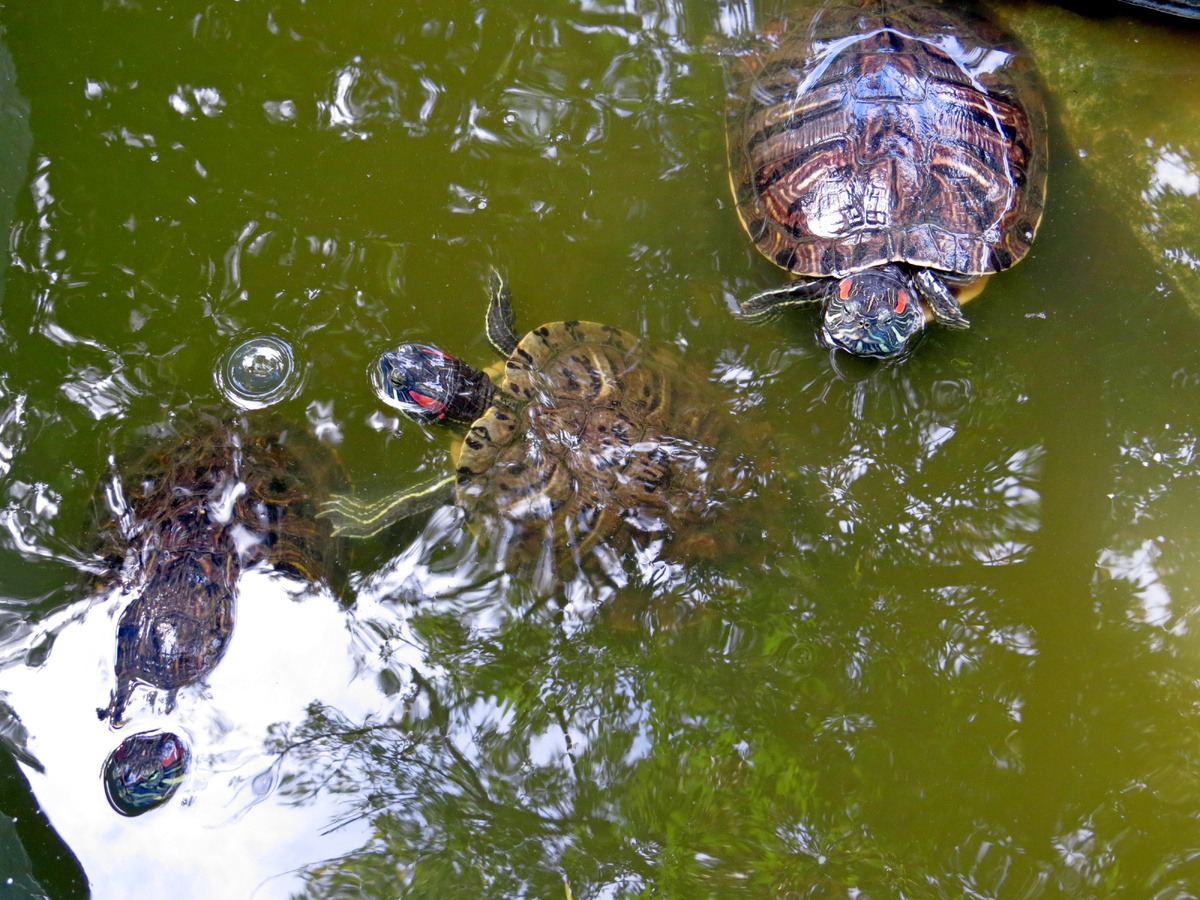 Листайте галерею.
