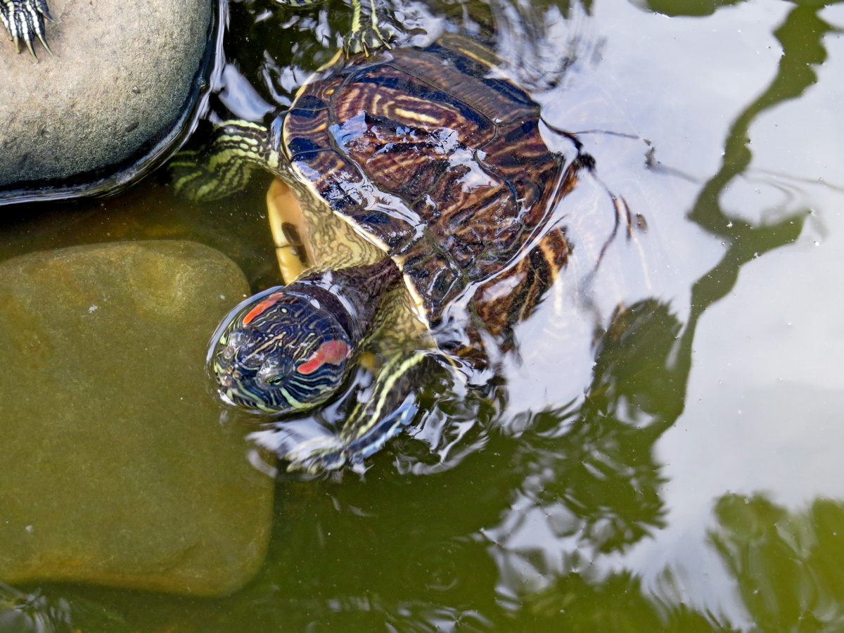 Листайте галерею.