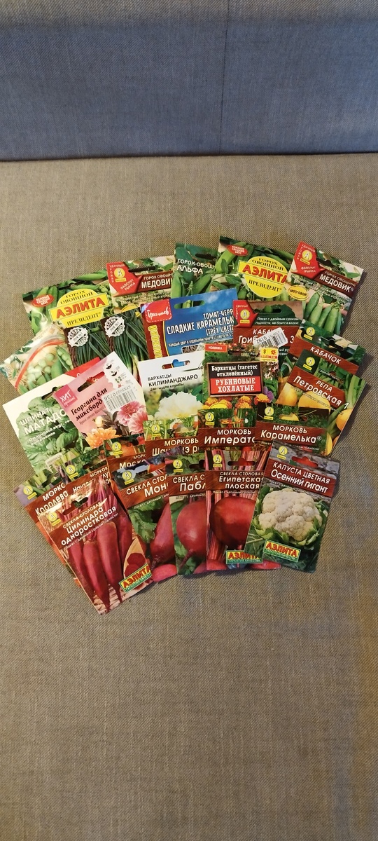 Мое богатство