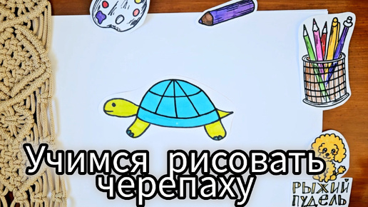 Как нарисовать черепаху 🐢 / Простой урок рисования для детей