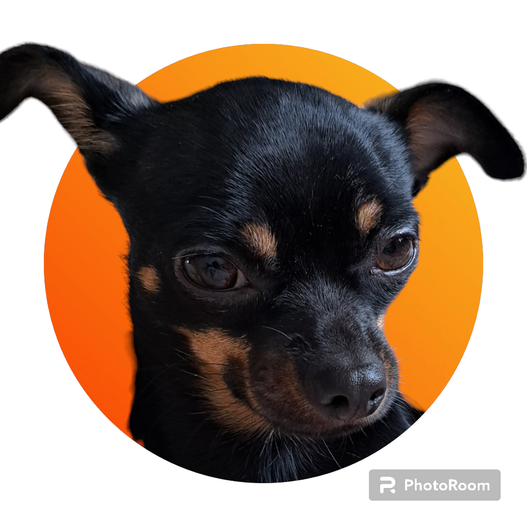 фото обработано автором