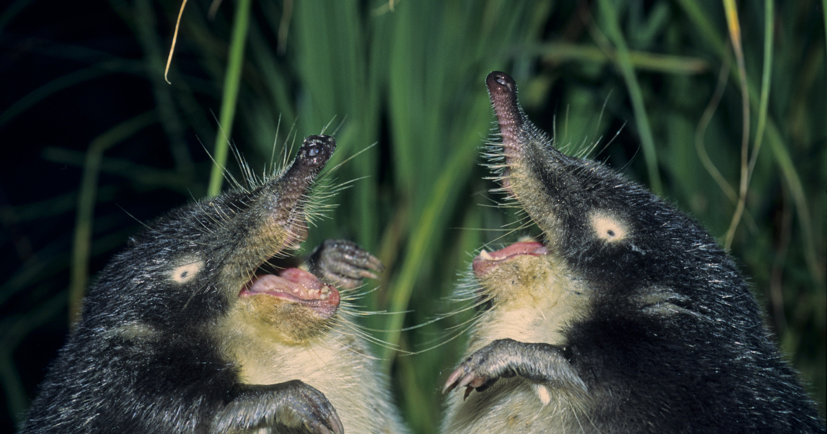 -И будем мы жить долго и счастливо, сынок... Имеем право!!!