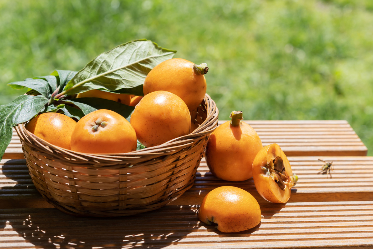 Источник фото: Canva