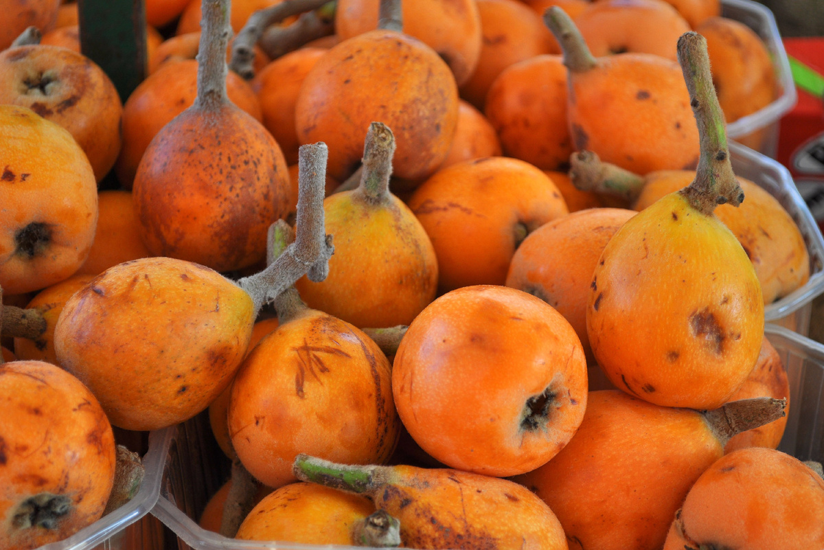 Источник фото: Canva