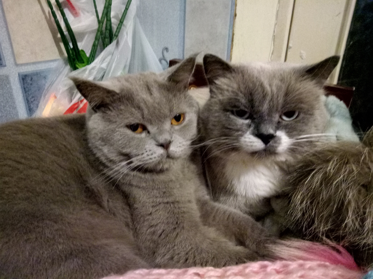 Редкий кадр