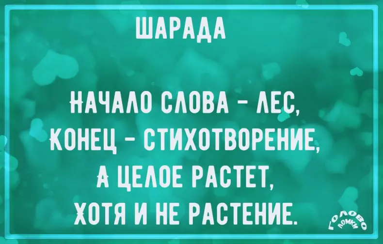 Шарада в стихах №44