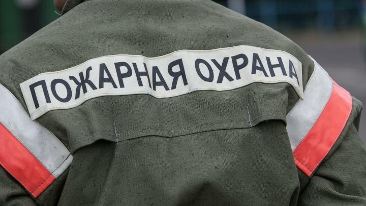 Фото: globallookpress.com / Nikolay Gyngazov