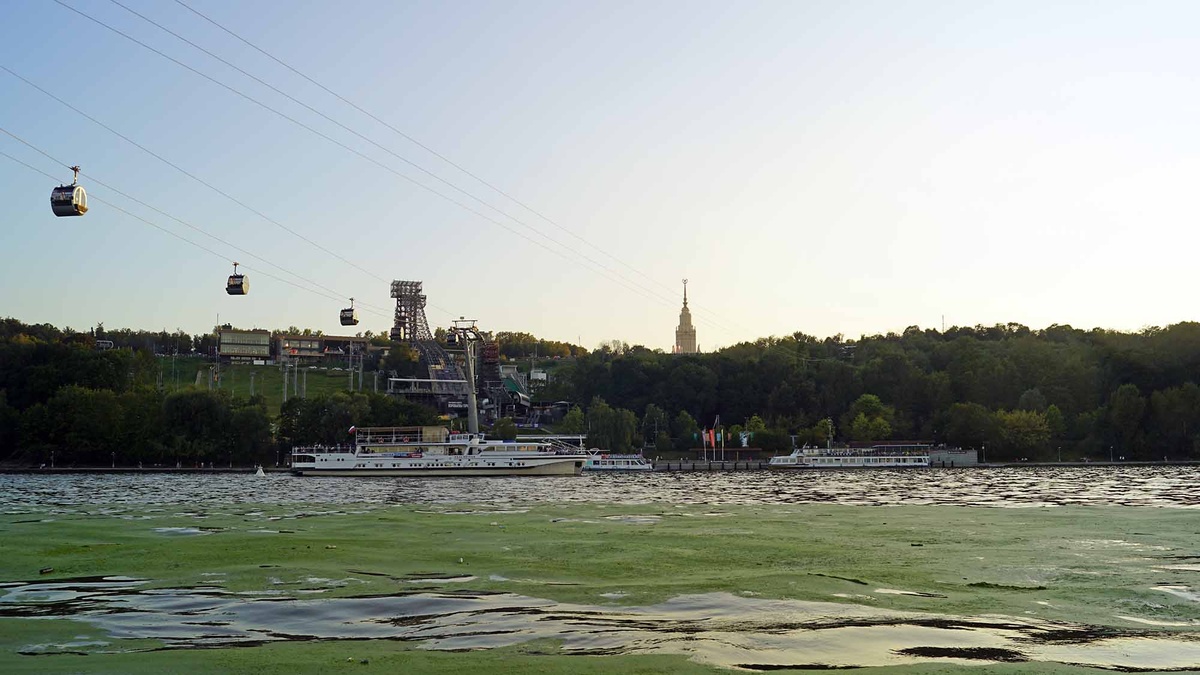 Напротив — парк Воробьевы горы