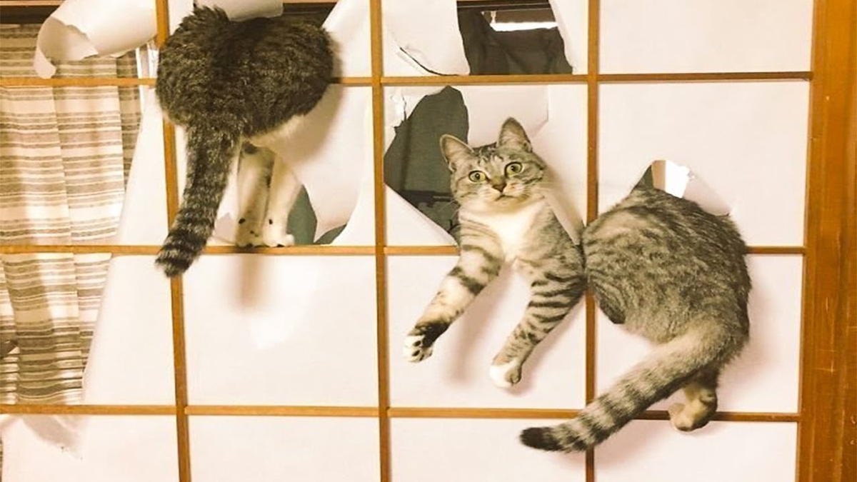 источник Яндекс-картинки