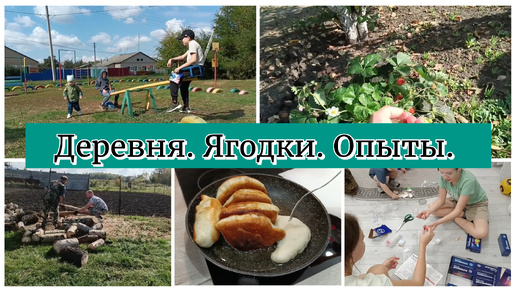 Деревенский влог🏡Последние ягоды🍓Печем пирожки с кисляткой/ Детские опыты👨‍🔬