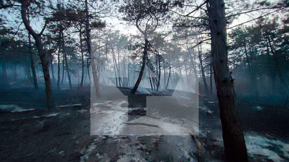 Фото: © ИЗВЕСТИЯ