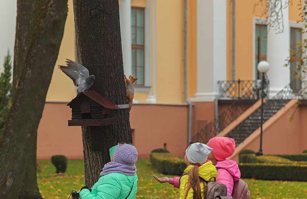 Раздельное обучение - пережиток прошлого или верная стратегия?