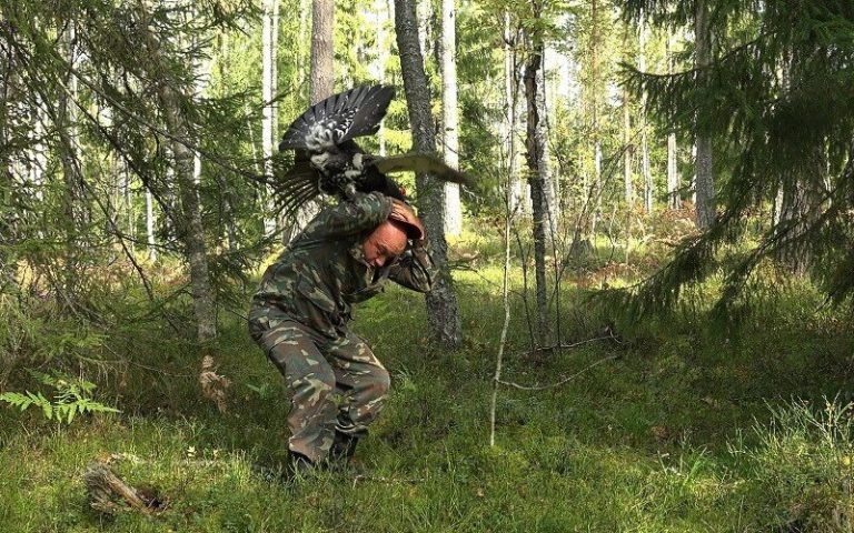    Фото: «Каждой твари по паре / Павел Глазков» Федор Добрый