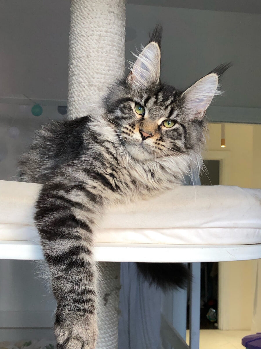 Фото из личного архива.