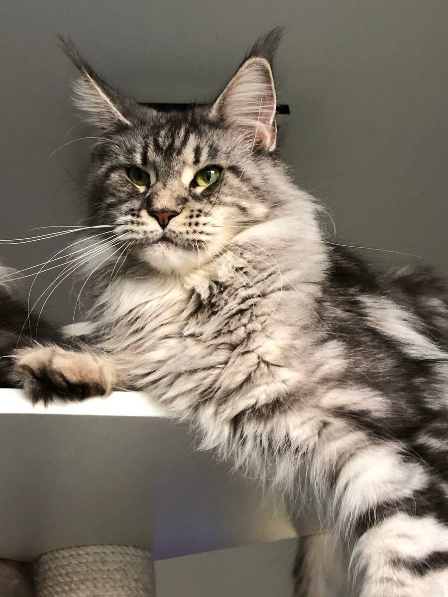 Фото из личного архива.