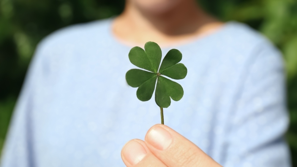    Фото: Shutterstock