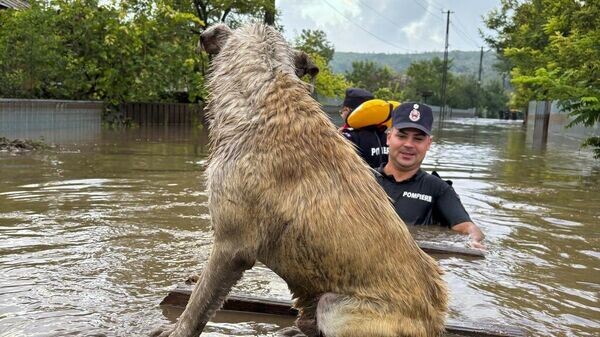    © AP Photo ISU Galati