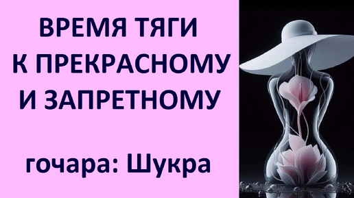 АСТРО-НАВИГАЦИЯ: ВРЕМЯ ТЯГИ К ПРЕКРАСНОМУ И ЗАПРЕТНОМУ! ГОЧАРА ШУКРА. Kulikova