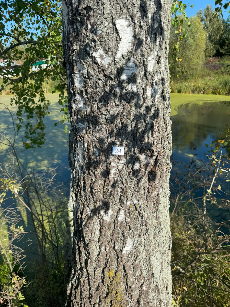 Вариант нумерации