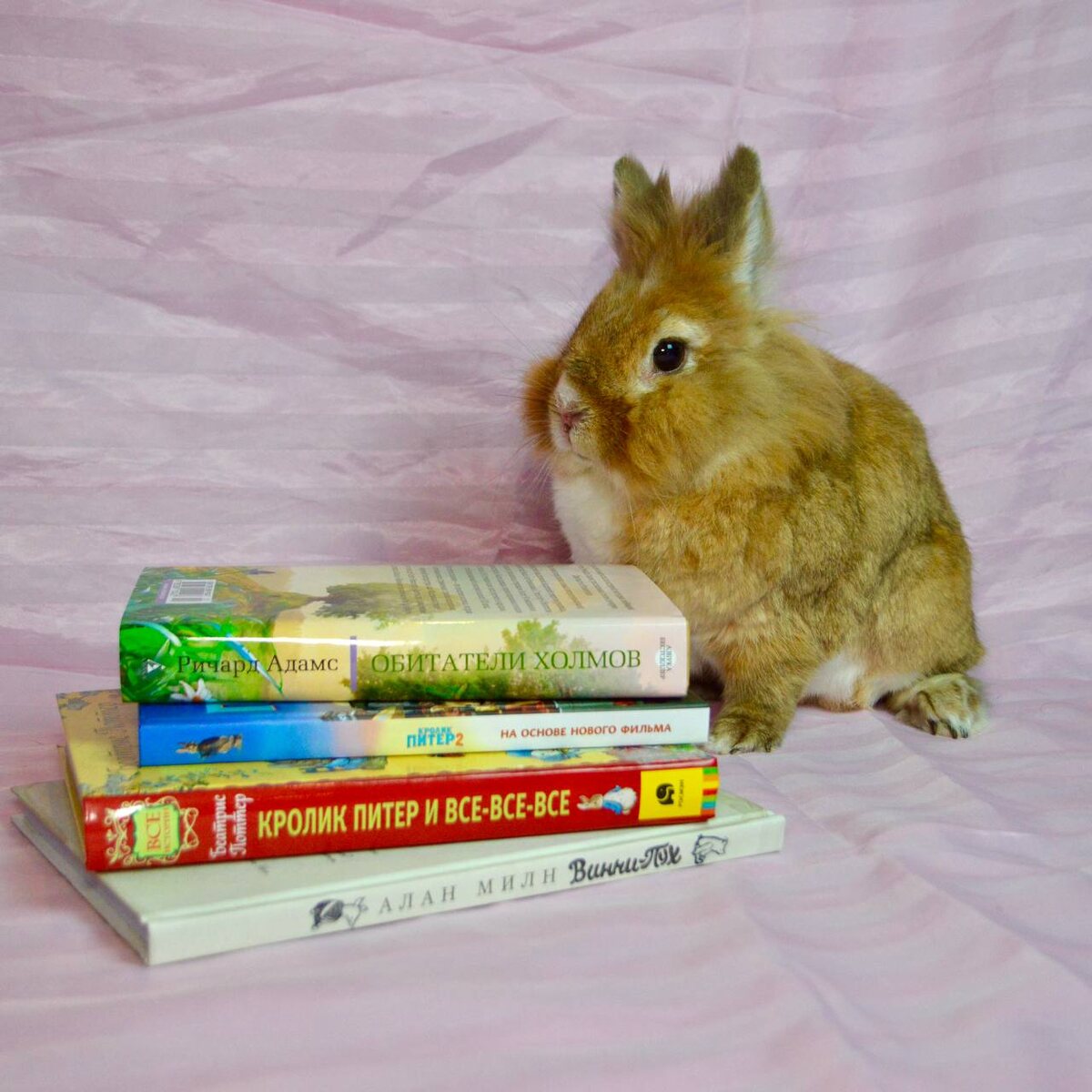 Лев Николаевич написал для тебя несколько новых произведений. Заходи в Зайкафе, чтобы их прочитать.