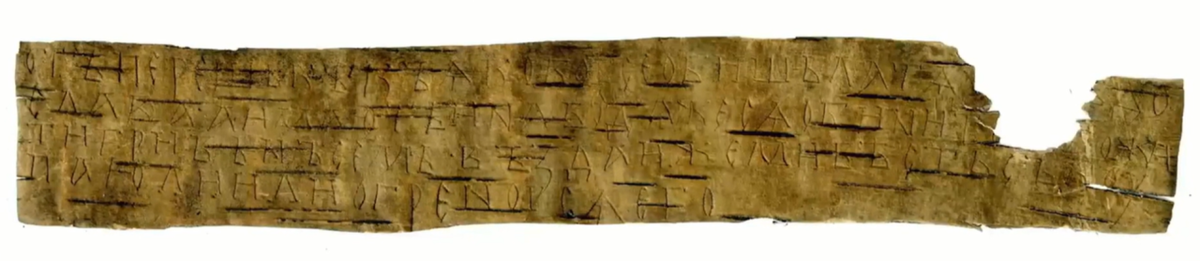 Берестяная грамота №1187, найденная в Великом Новгороде в 2024 году. Источник: Новгородский музей-заповедник.