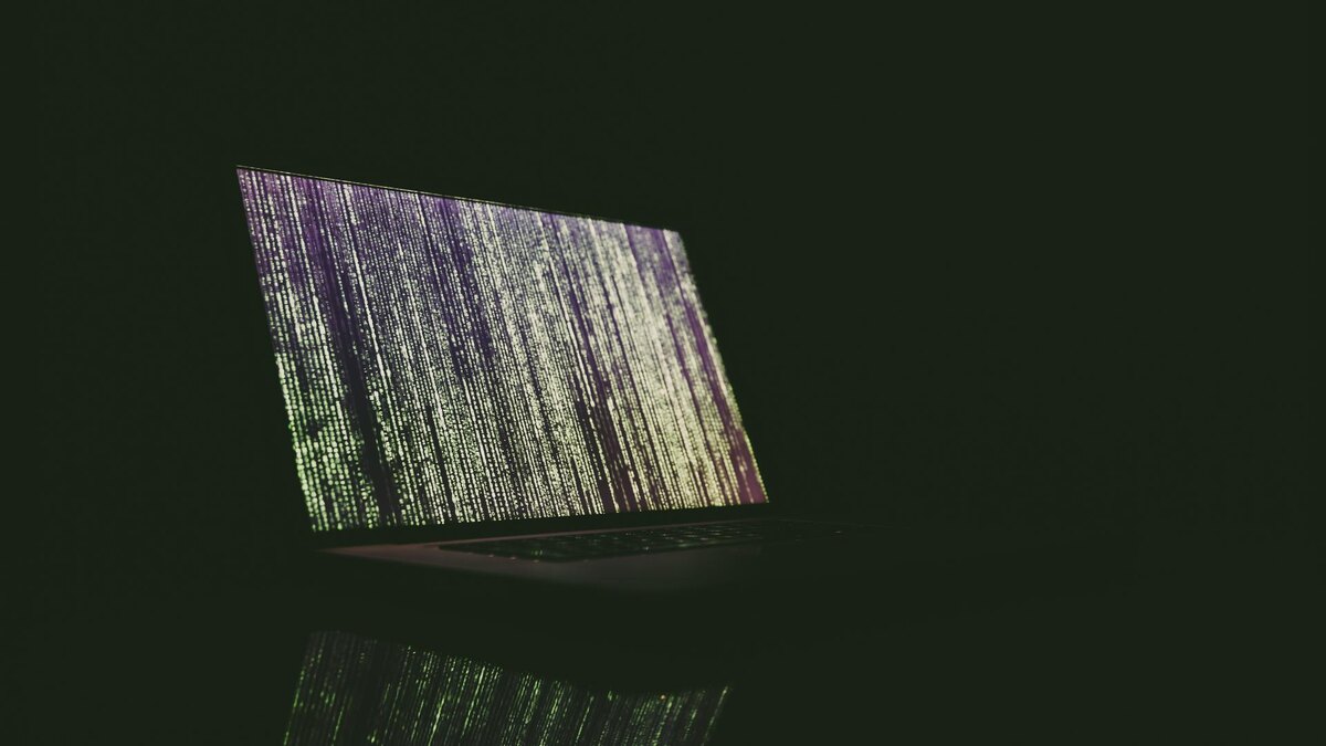 Фото: https://pxhere.com 