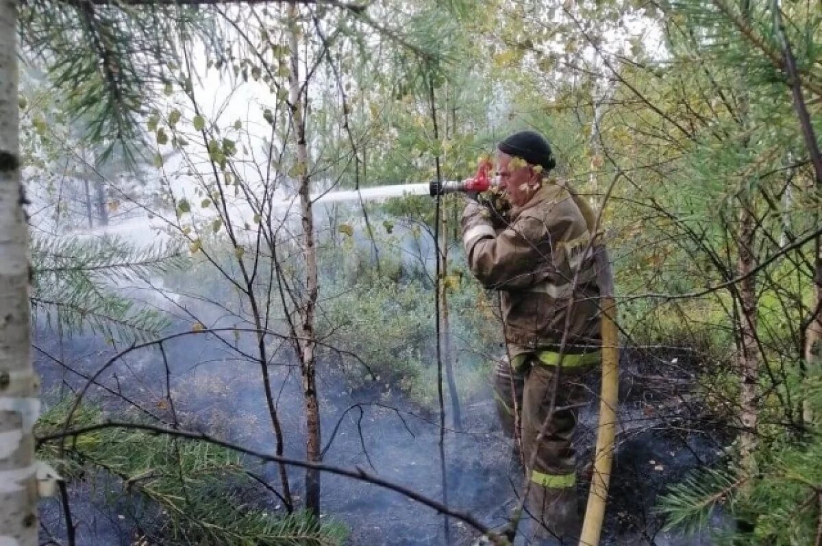    Риск пожаров в Ярославской области остается высоким