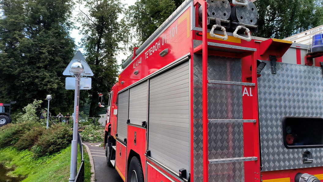    Maksim Konstantinov/Globallookpress