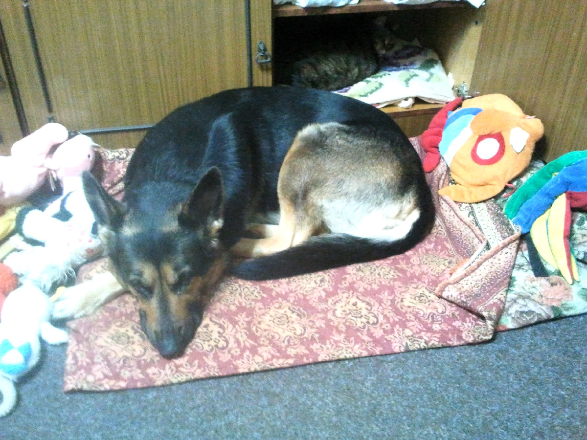 Фото автора