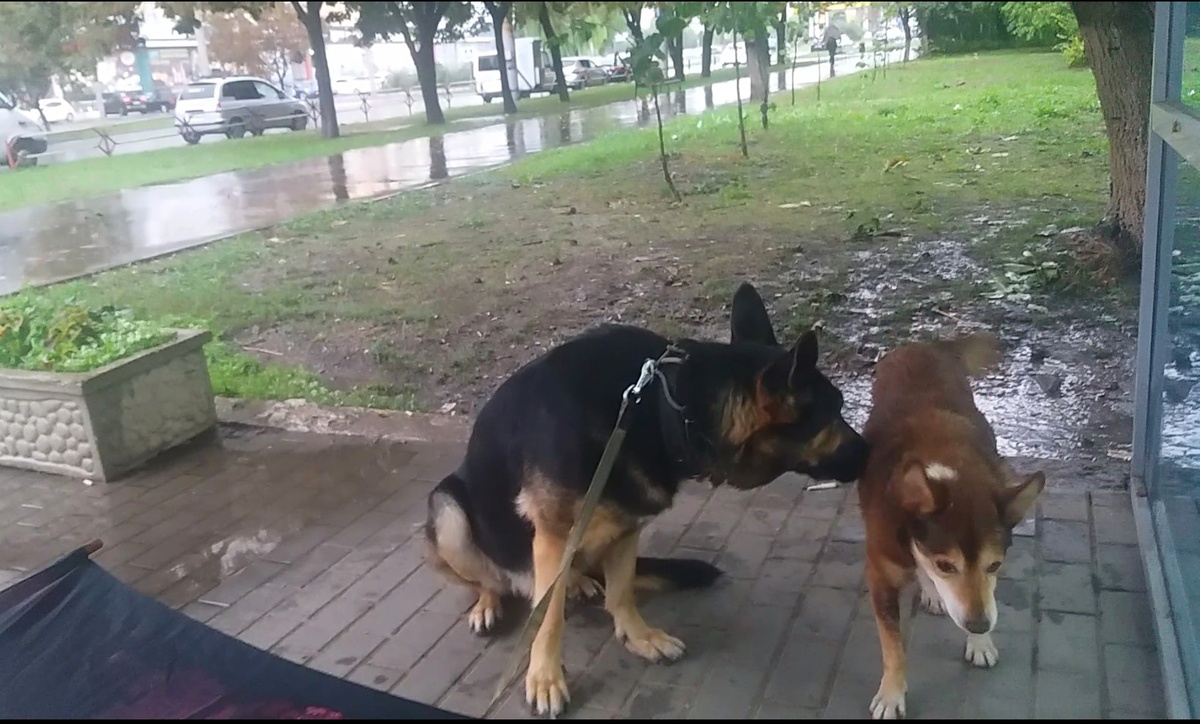 Фото автора