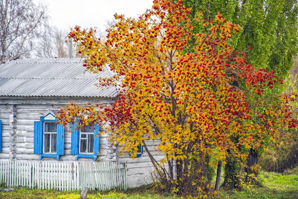 Изменение сайт картинки https://goo.su/vbcP Старый дом.