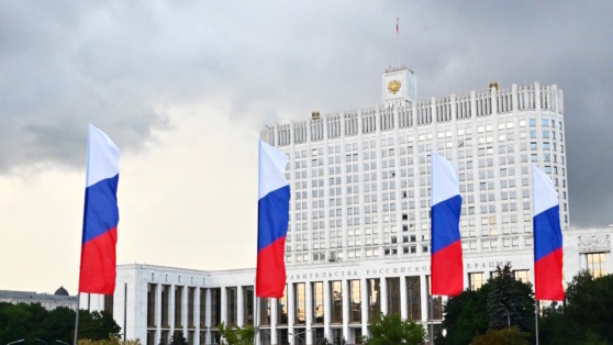    Правительство утвердило правила получения выплаты остатков средств материнского капитала Ирина Петрова