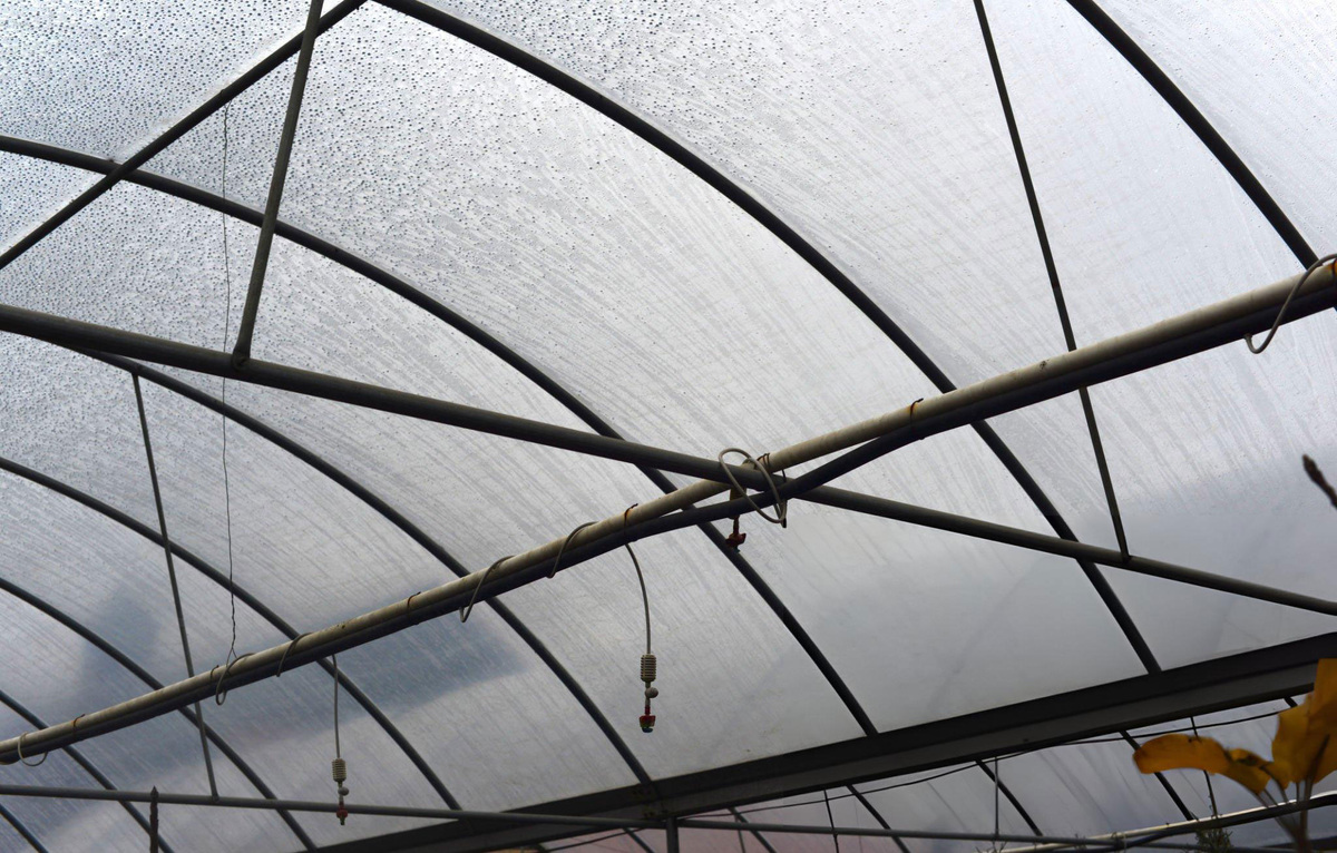 Промышленная теплица с системой орошения через верх