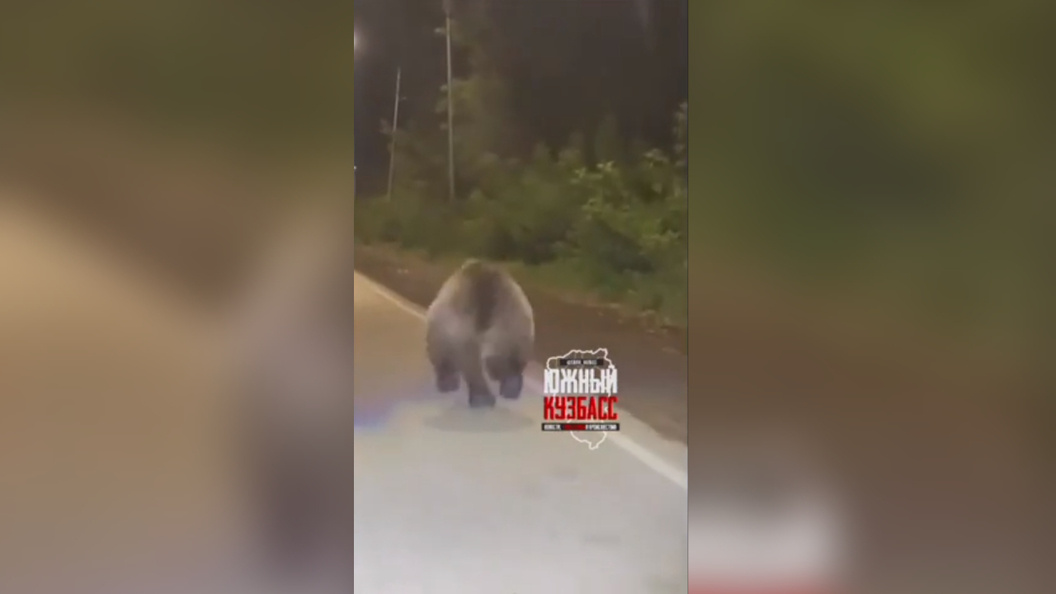    Фото: скриншот видео телеграм-канала «Южный Кузбасс»