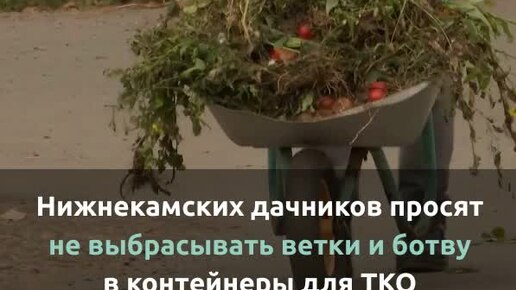 Нижнекамских дачников просят не выбрасывать ветки и ботву в контейнеры для ТКО