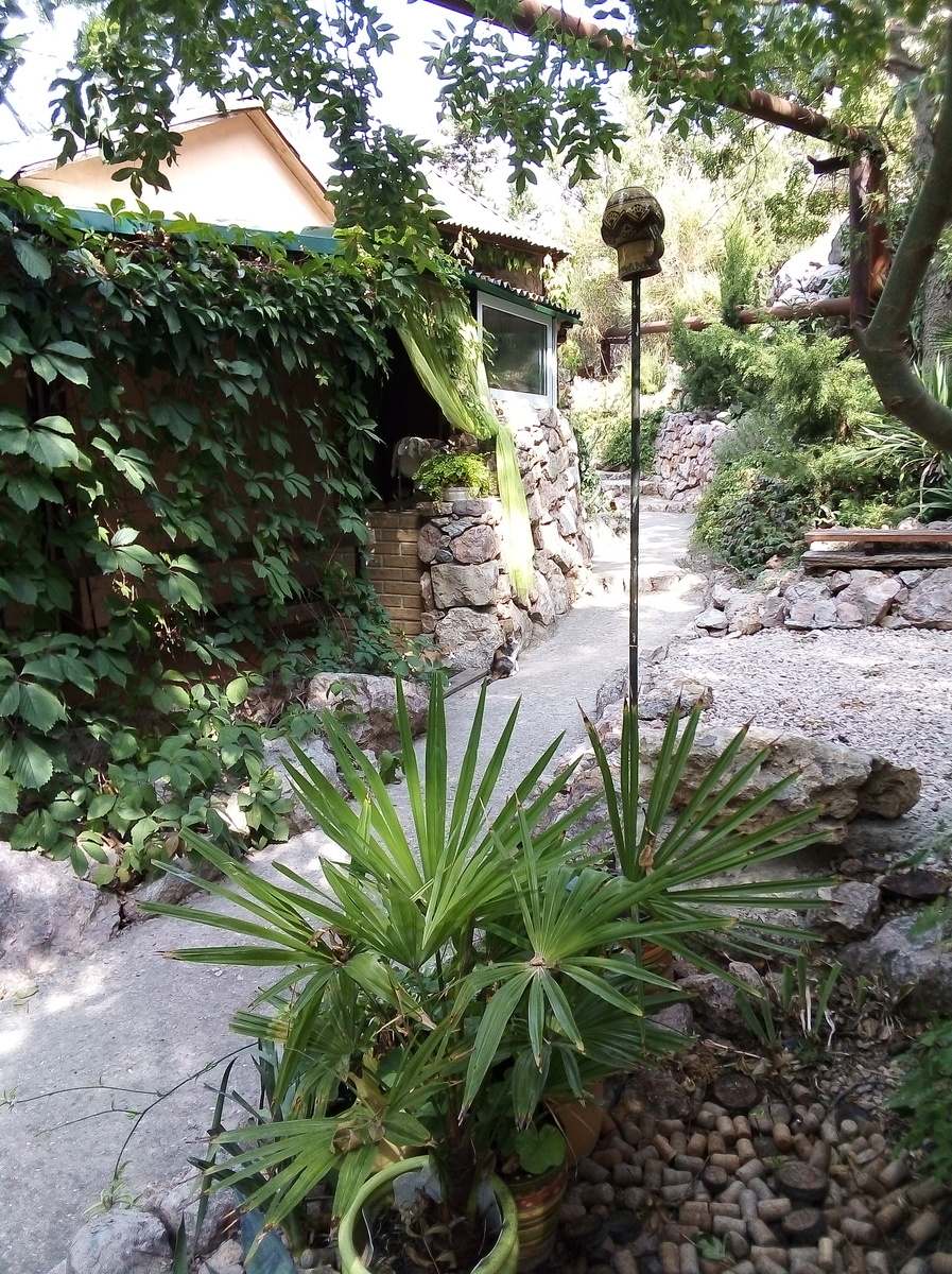 Фото автора. Наше бунгало.