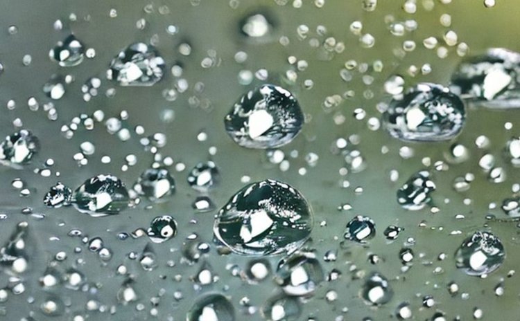    В двух районах Красноярского края введен режим ЧС по причине переувлажнения почвы