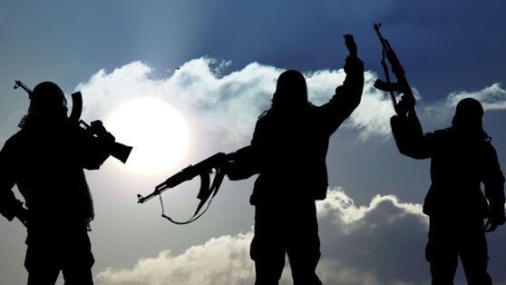    СМИ: Буданов контактирует с "Джебхат-ан-Нусрой" для вербовки террористов Анастасия Романова