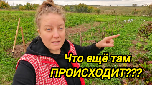 Tải video: Про клубнику и обновки на кухне | Что там с дровами??? | Деревенские будни | Переезд из города в деревню | Серия 26